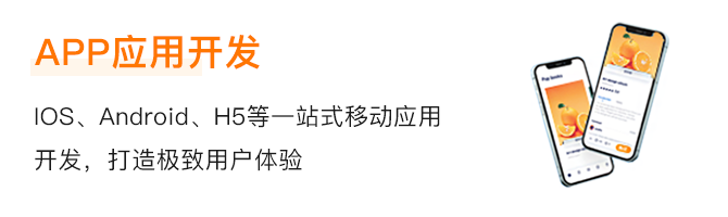 1678932054237814.png APP应用开发.png