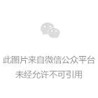 移动落地页体验规范的说明(图10)