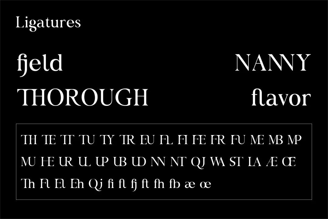 想找高级感？试试这款自带贵族基因的专业衬线体