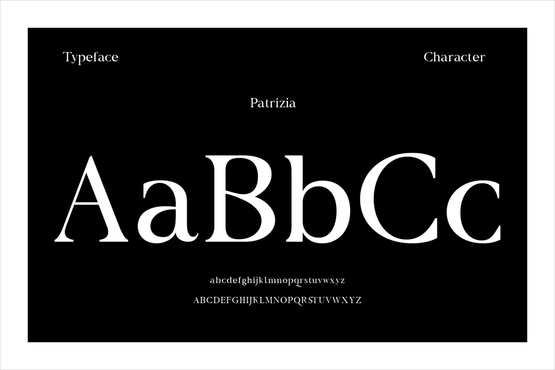 想找高级感？试试这款自带贵族基因的专业衬线体