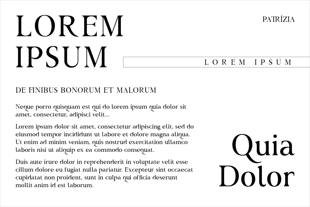 想找高级感？试试这款自带贵族基因的专业衬线体
