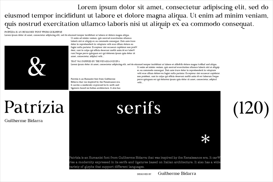 想找高级感？试试这款自带贵族基因的专业衬线体