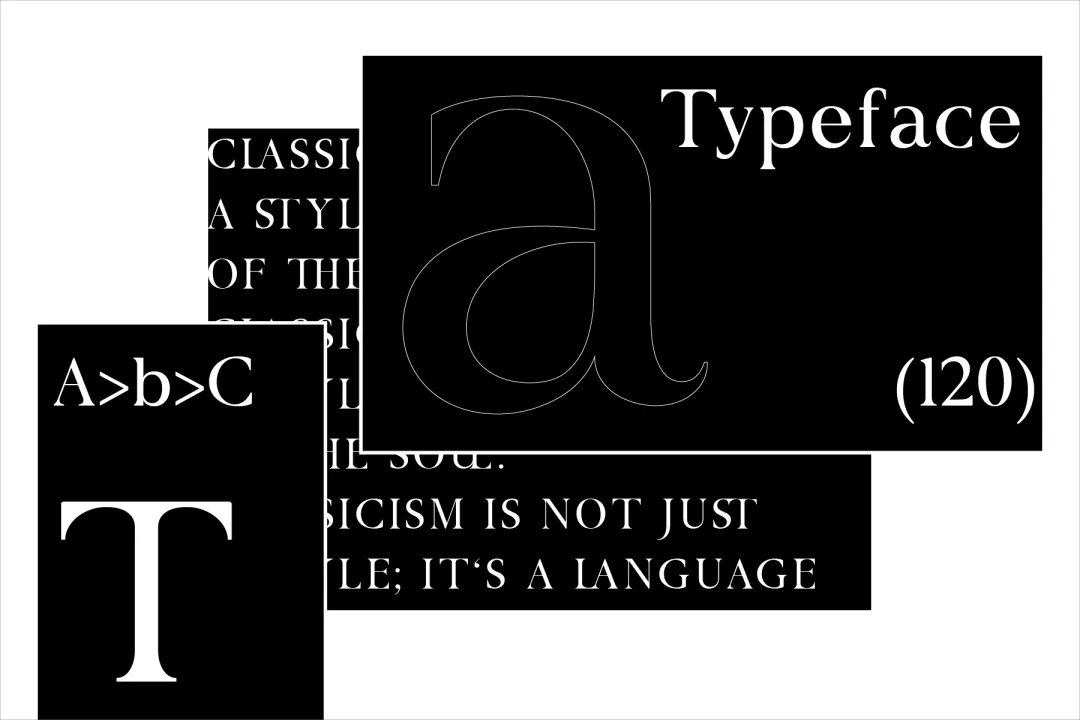 想找高级感？试试这款自带贵族基因的专业衬线体