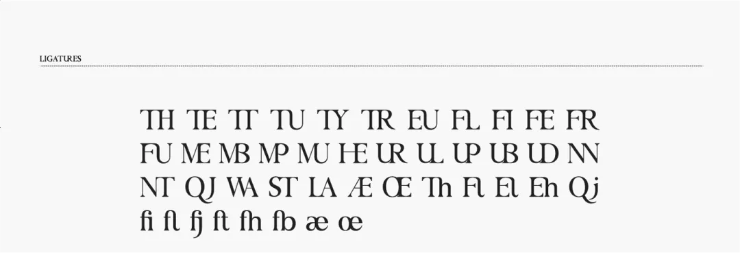 想找高级感？试试这款自带贵族基因的专业衬线体