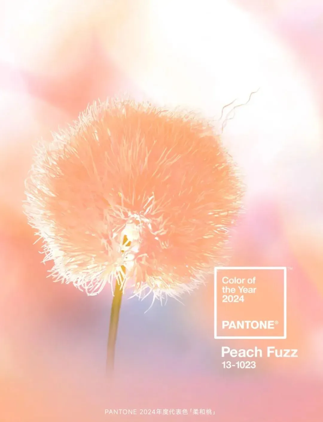 超多案例！四个章节读懂2026潘通年度色「云上舞白」