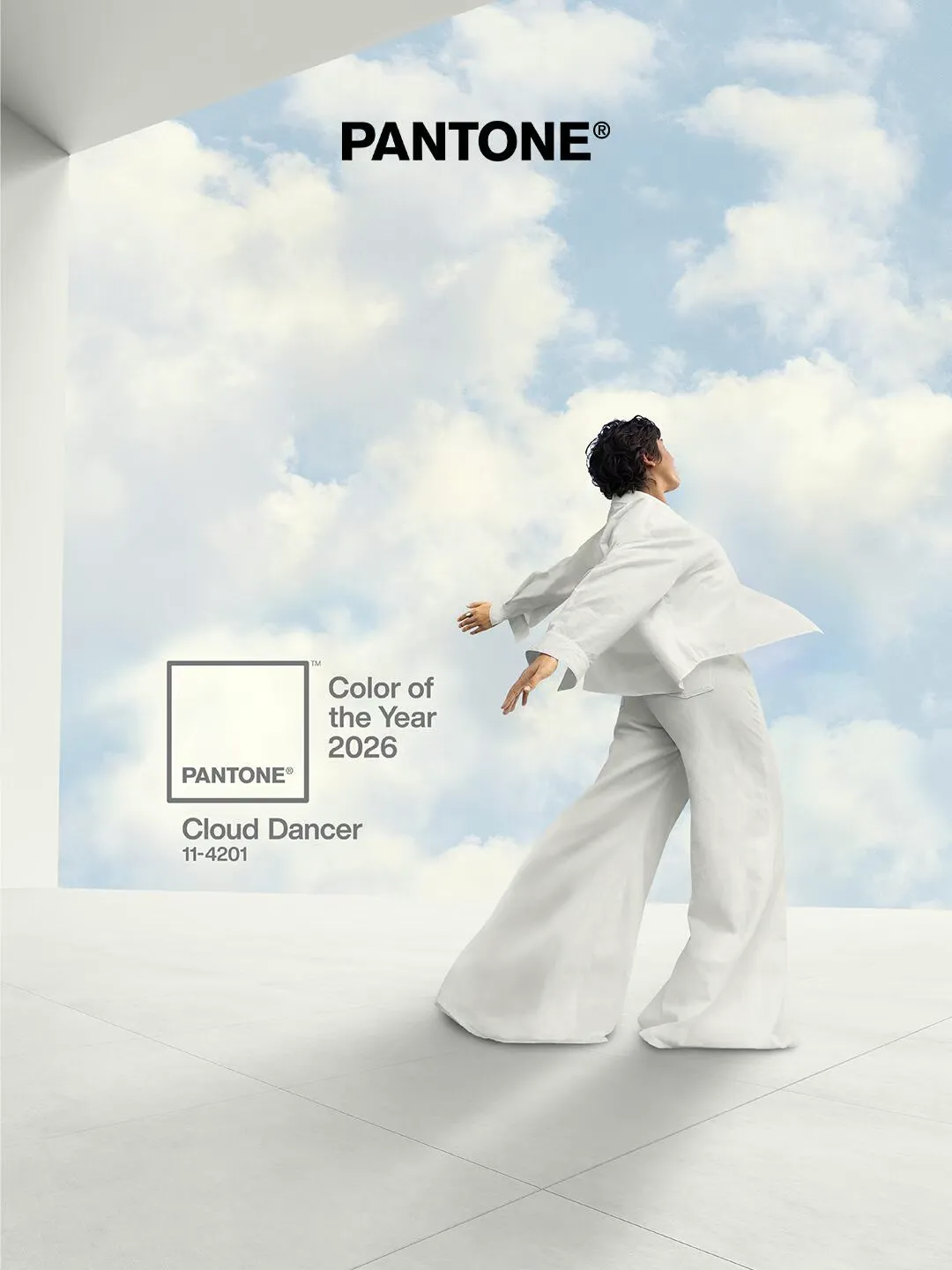 超多案例！四个章节读懂2026潘通年度色「云上舞白」