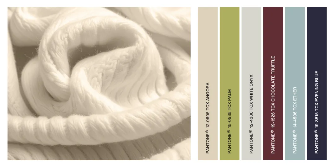 超多案例！四个章节读懂2026潘通年度色「云上舞白」