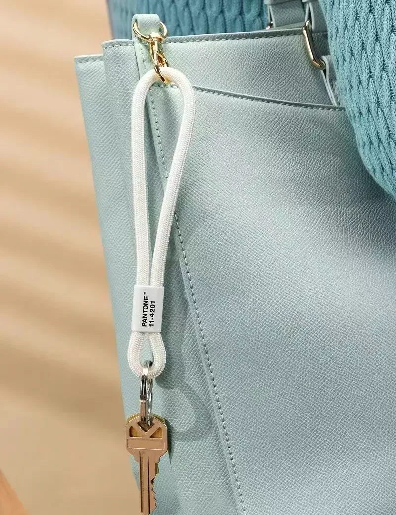 超多案例！四个章节读懂2026潘通年度色「云上舞白」