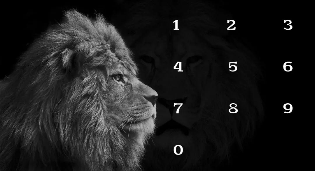 粗犷不羁有力！自带摇滚滤镜的免费商用字体Rude