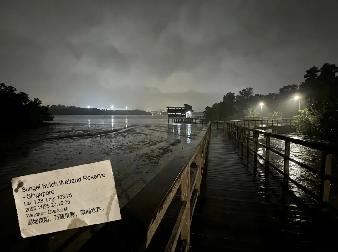 想去哪就去哪!我用Nano Banana Pro做了个实时旅行相机(图5) 想去哪就去哪!我用Nano Banana Pro做了个实时旅行相机