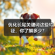 优化长尾关键词这些特征，你了解多少?（图2）