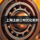 上海注册公司优化案例（图1）
