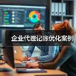 企业代理记账优化案例（图4）