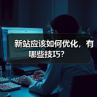 新站应该如何优化，有哪些技巧？（图2）
