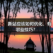 新站应该如何优化，有哪些技巧？（图4）