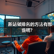 新站做排名的方法有那些呢?（图2）