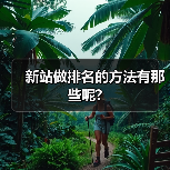 新站做排名的方法有那些呢?（图3）