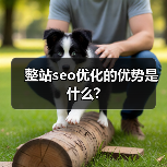 整站seo优化的优势是什么?（图3）