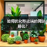 如何优化移动端的网站排名？（图4）