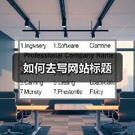 如何去写网站标题（图4）