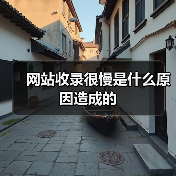 网站收录很慢是什么原因造成的（图1）
