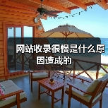 网站收录很慢是什么原因造成的（图3）