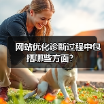 网站优化诊断过程中包括哪些方面？（图3）