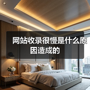 网站收录很慢是什么原因造成的（图4）