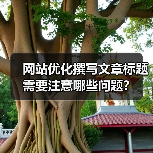 网站优化撰写文章标题需要注意哪些问题?(图1) 网站优化撰写文章标题需要注意哪些问题?(图1)