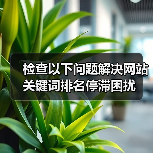 检查以下问题解决网站关键词排名停滞困扰（图1）