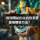 维持网站优化的效果要重视哪些方面？（图2）