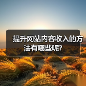 提升网站内容收入的方法有哪些呢?（图1）