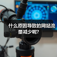 什么原因导致的网站流量减少呢?（图4）