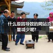 什么原因导致的网站流量减少呢?（图2）