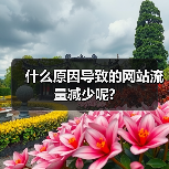什么原因导致的网站流量减少呢?（图1）