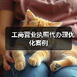 工商营业执照代办理优化案例（图2）
