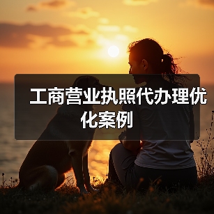 工商营业执照代办理优化案例（图4）