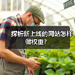 探析新上线的网站怎样做权重？（图1）
