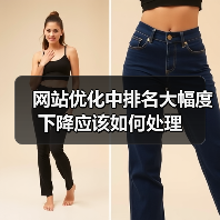 网站优化中排名大幅度下降应该如何处理（图1）