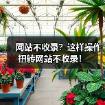 网站不收录？这样操作扭转网站不收录！（图2）