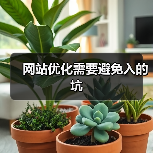 网站优化需要避免入的坑（图3）