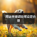 网站关键词如何设定合理（图4）