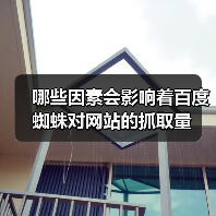 哪些因素会影响着百度蜘蛛对网站的抓取量（图3）