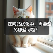 在网站优化中，需要避免那些问题？（图2）