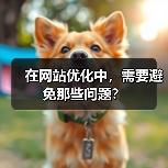 在网站优化中，需要避免那些问题？（图3）