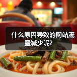 什么原因导致的网站流量减少呢?（图3）