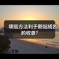 哪些方法利于新站域名的收录?（图1）