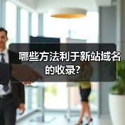 哪些方法利于新站域名的收录?（图4）