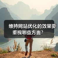 维持网站优化的效果要重视哪些方面？（图4）