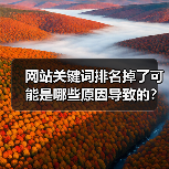 网站关键词排名掉了可能是哪些原因导致的？（图2）